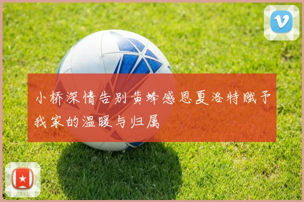 小桥深情告别黄蜂感恩夏洛特赋予我家的温暖与归属