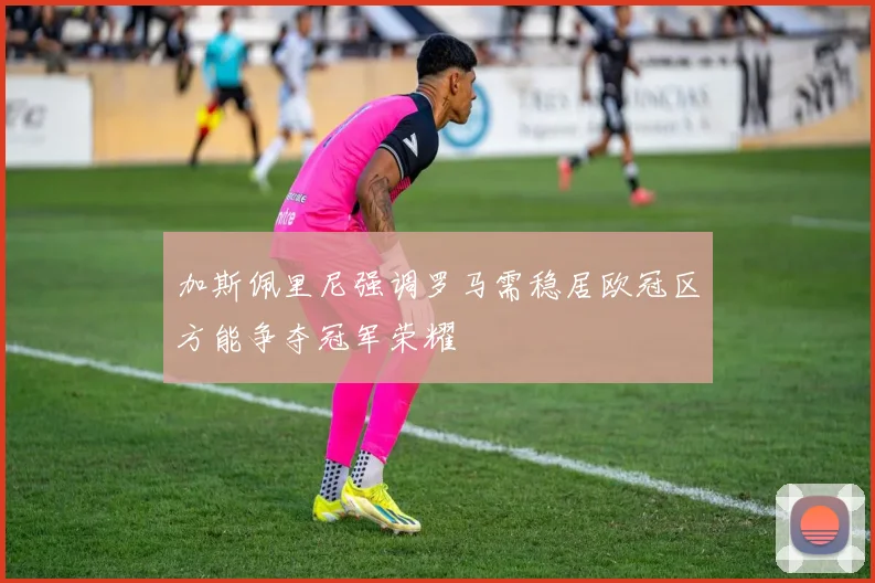 加斯佩里尼强调罗马需稳居欧冠区方能争夺冠军荣耀